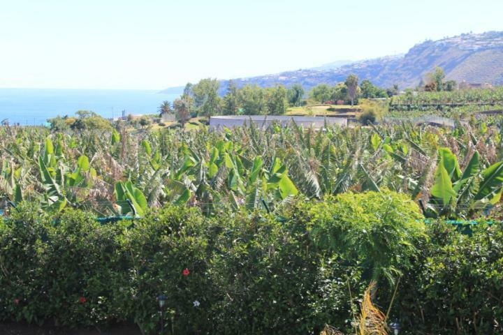 Ferienhaus Casa Strelizia -